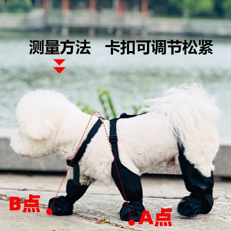 8e9eae0b-9475-4add-9059-ef83ed13bc05.jpe