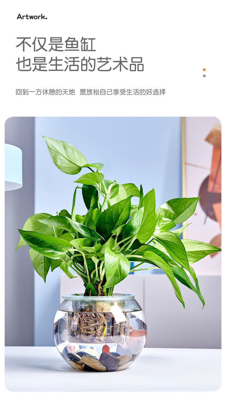 741d075f-23d9-4f2e-89af-8e32aeb48fb4.jpe