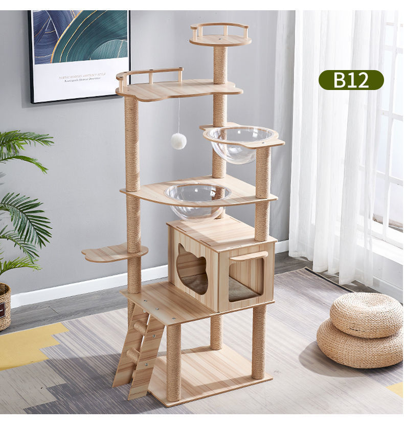 97118c14-9fdb-49ae-b173-2dc66e06d413.jpe