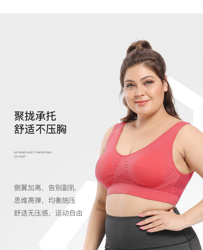 5208（胖）_10.jpg