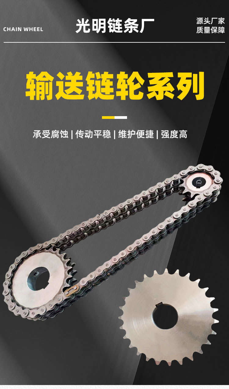 输送链轮详情-拷贝_01.jpg