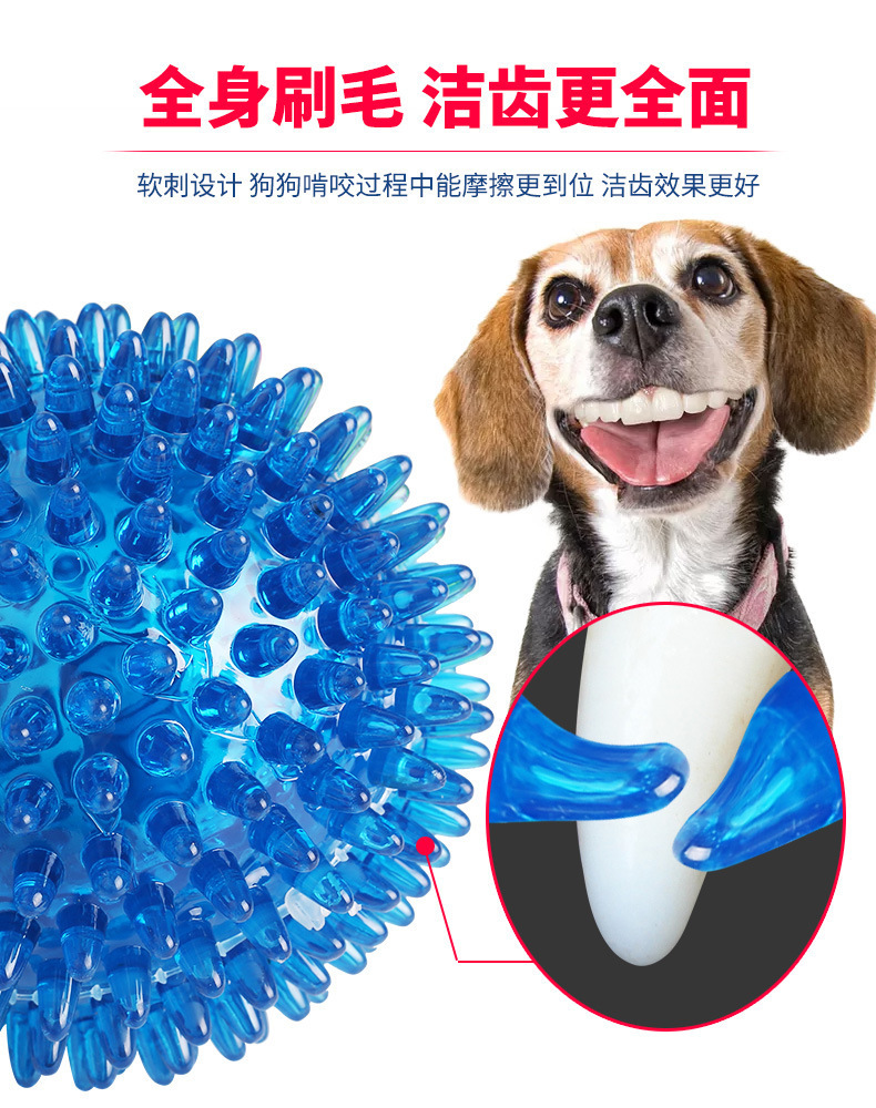 8613241463_2134595315