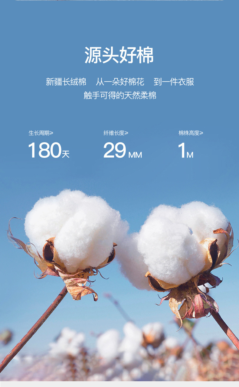 d7ae5468-3739-4477-99ec-6a5ec7cac6e3.jpe