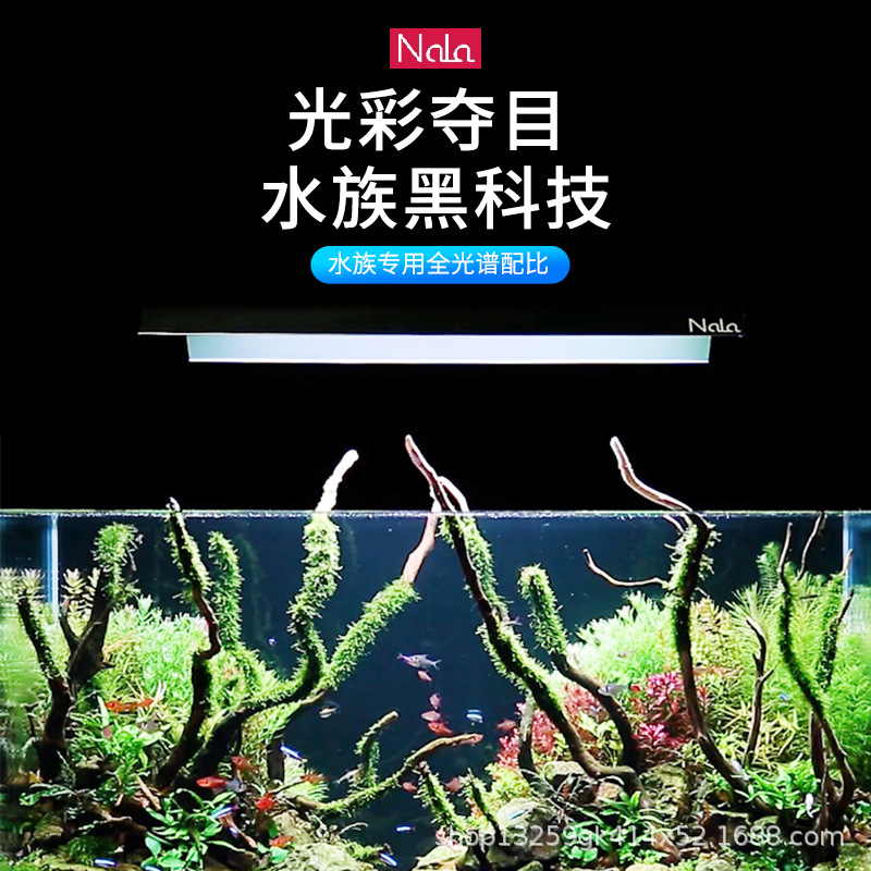 主图2.jpg