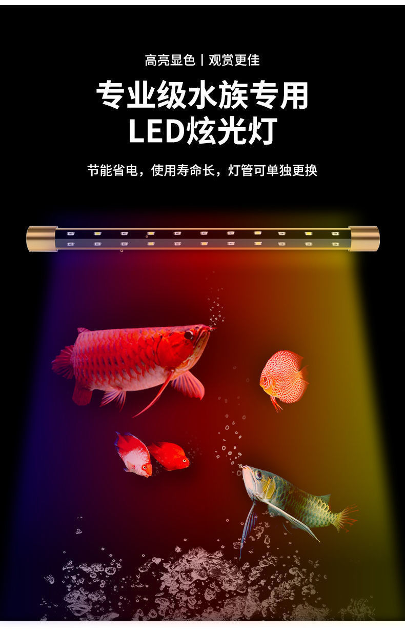 719adcb3-7536-4b1c-8058-e85fc4d6c5f0.jpe