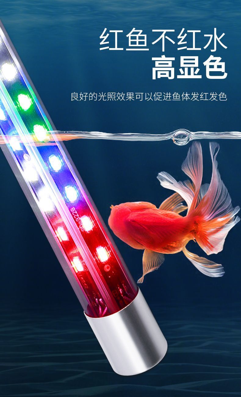 e681051d-73cb-465c-8be8-4e371a0ae298.jpe