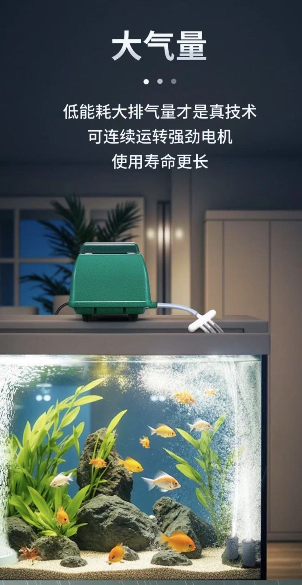 微信图片_20250323105947