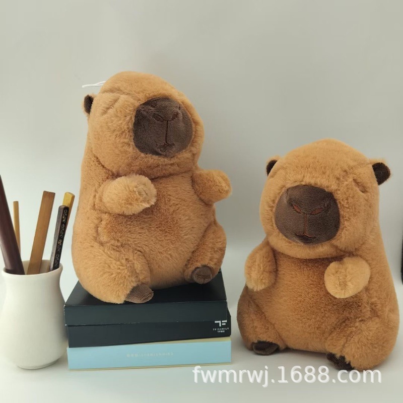 IMG_4884(20240907-233635)_副本.j