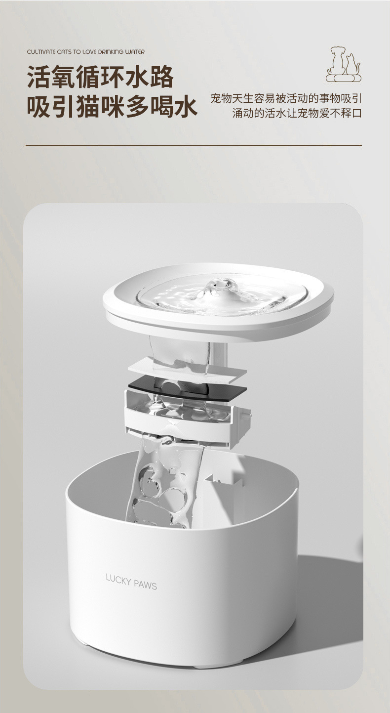 9092ec78-7c78-4eef-bdec-676f3e7de179.jpe