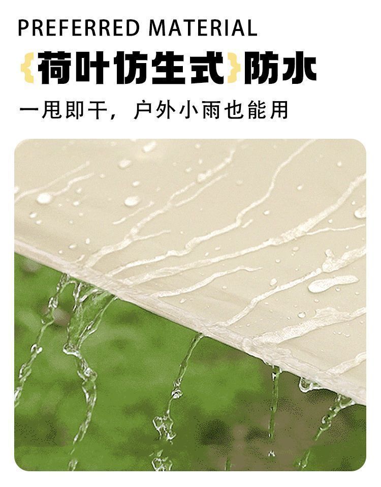 b0b9b49b-2e4d-46f1-9a91-4eb80c09d27c.jpe