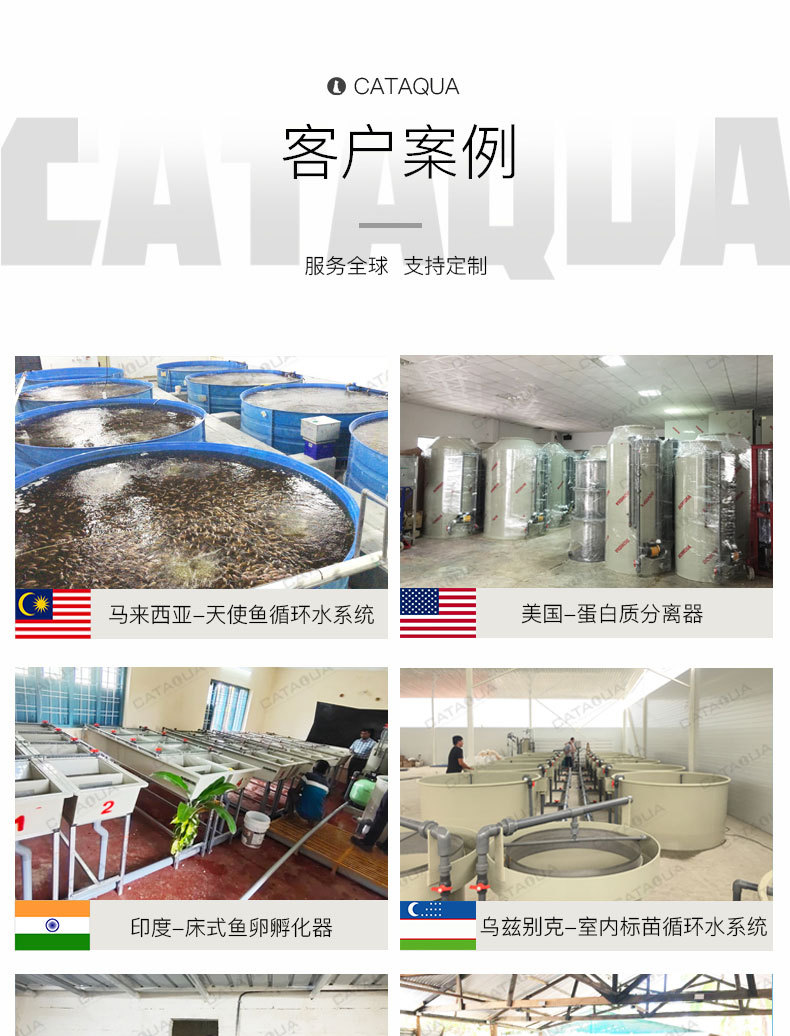 蛋分模板下-通用_02