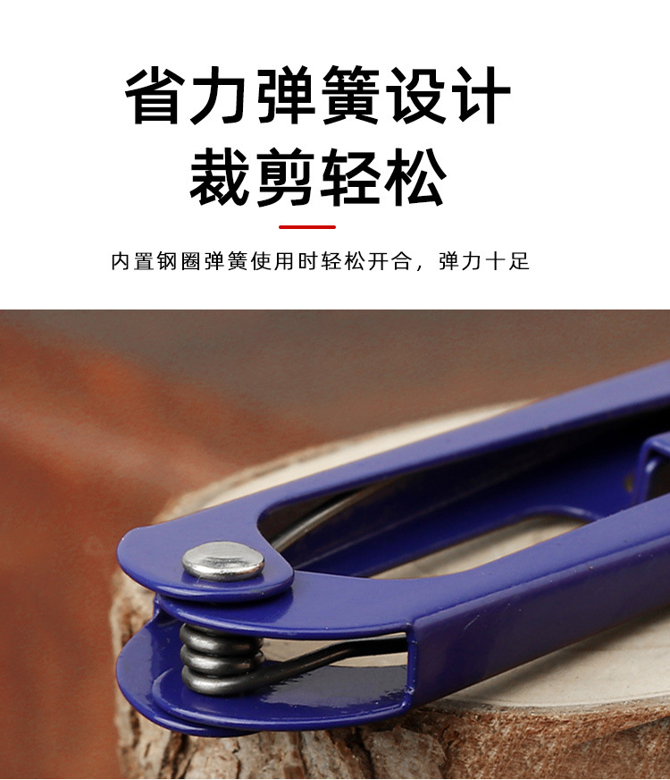 详情_06.jpg