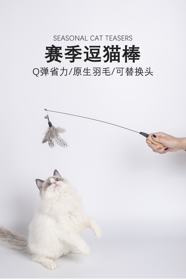 详情_01.jpg