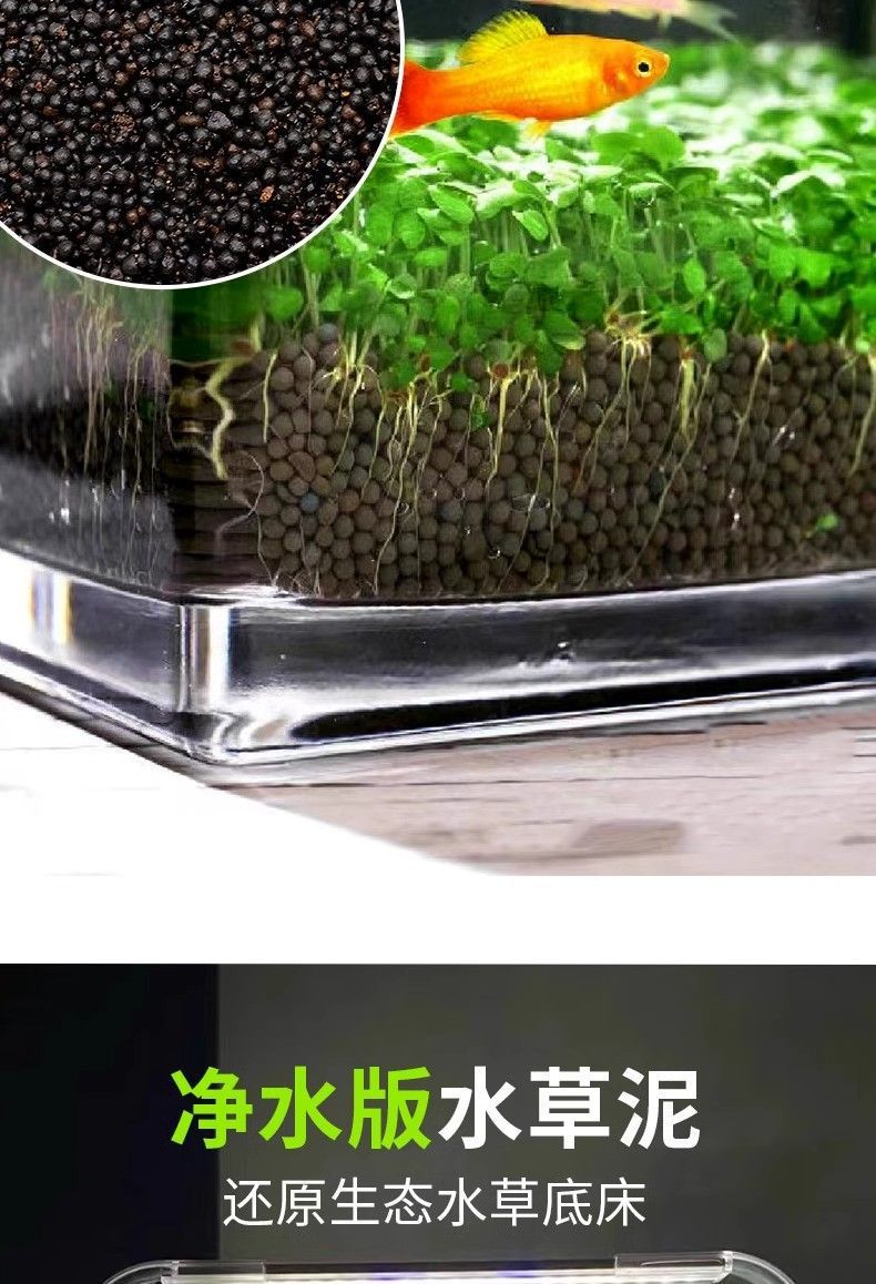 e74512c6-eb14-45f3-beb5-bcb53572c62a.jpe