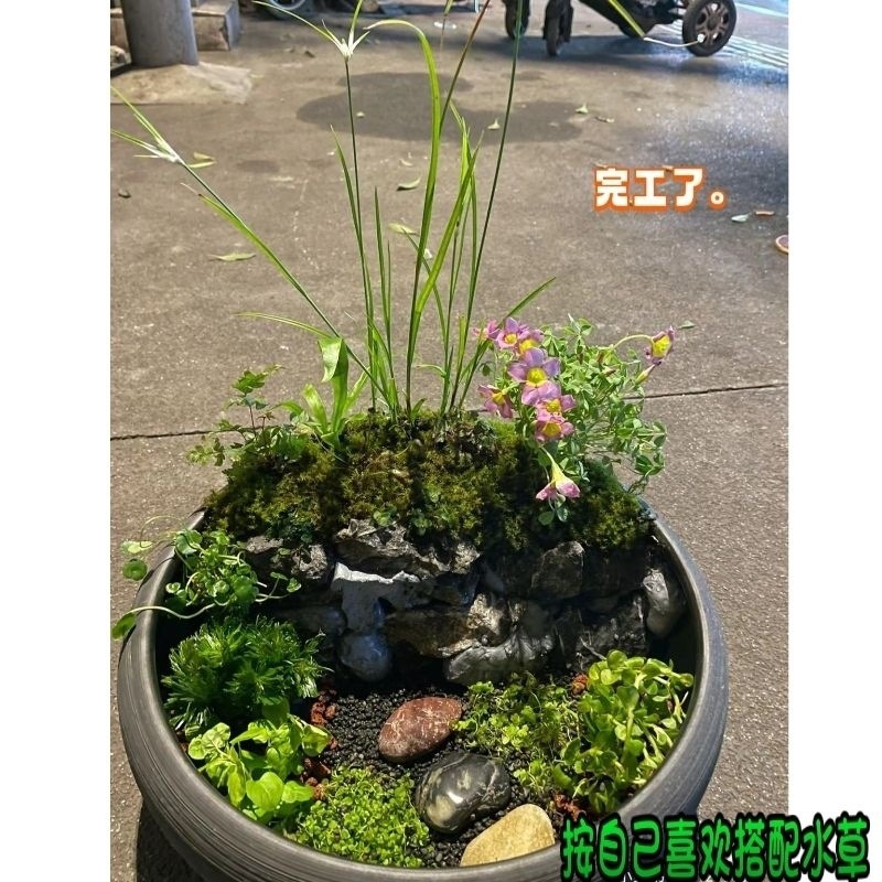 19fd2b10-ed42-4d94-8cf4-fc41ebbf6c0e.jpe