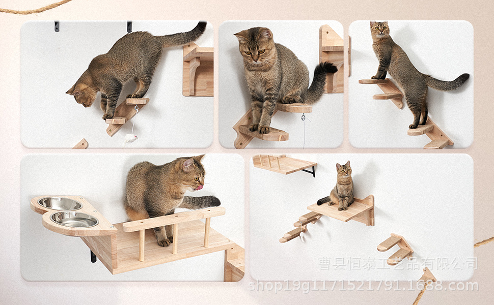 倾斜式壁挂式喂食架猫躺板猫爬梯