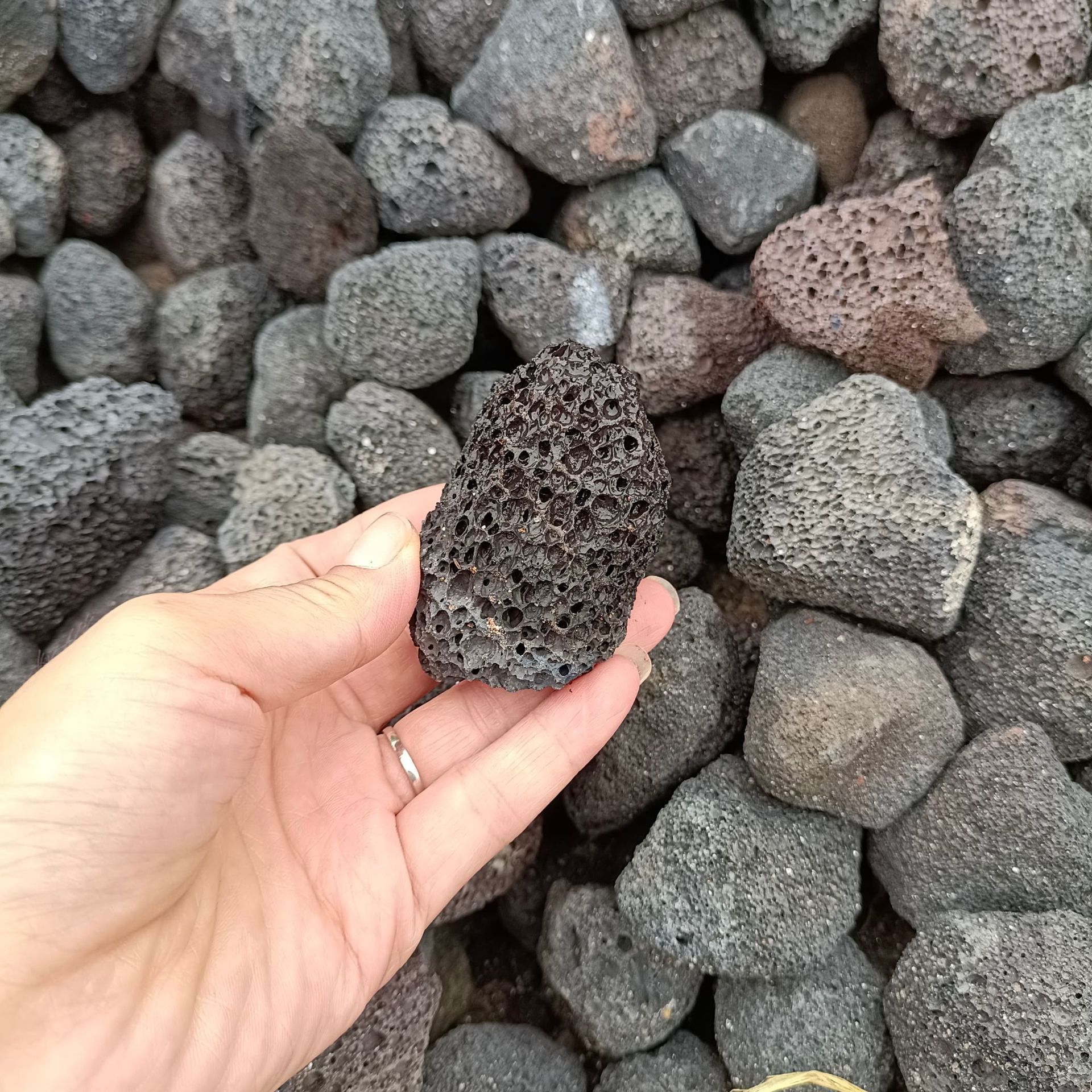 4f18fbb3d0352def646c51fc519856