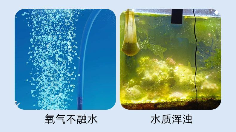 f7ba47e9-b5cf-4ba5-81aa-a7039edd1625.jpe