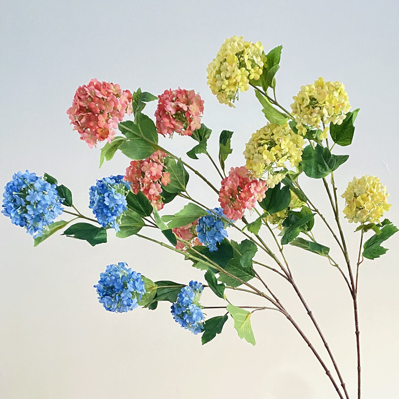 5头长杆绣球6