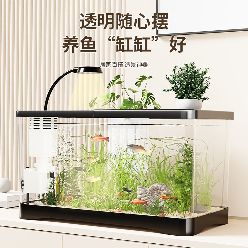 e5131468-6405-43ad-b2ff-27c2a014a81f.jpe