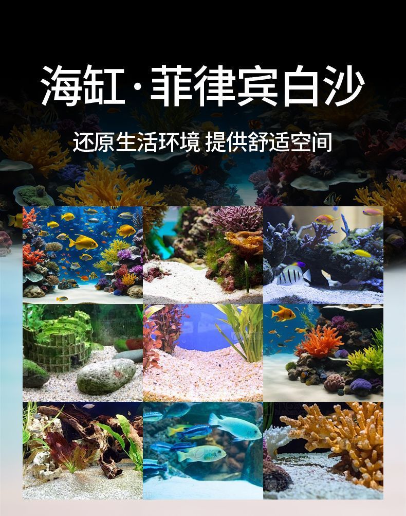 微信图片_20250804093510.jpg