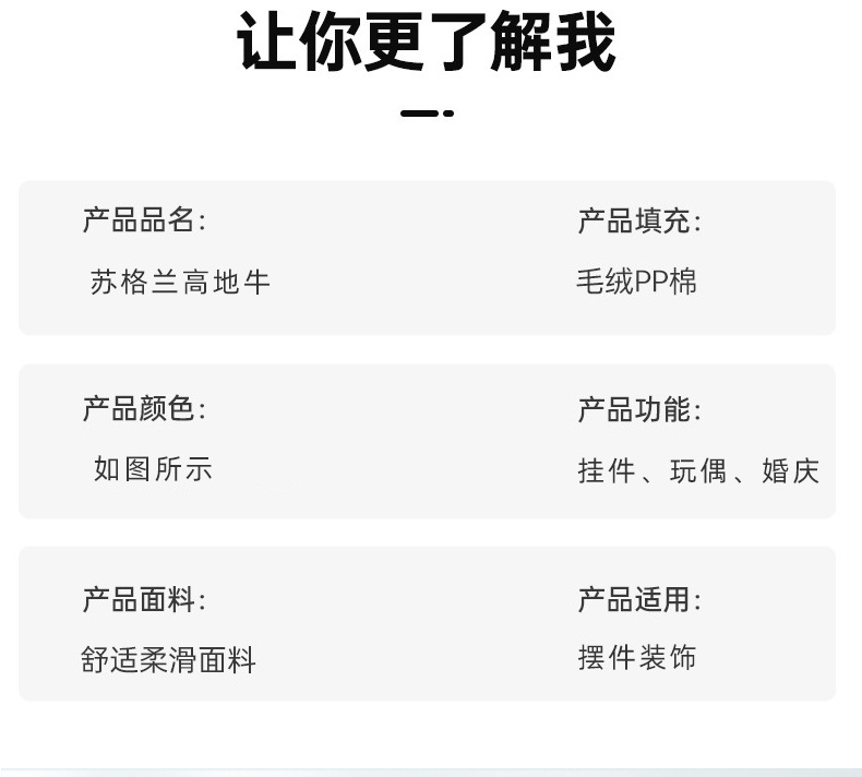 苏格兰高地牛_13