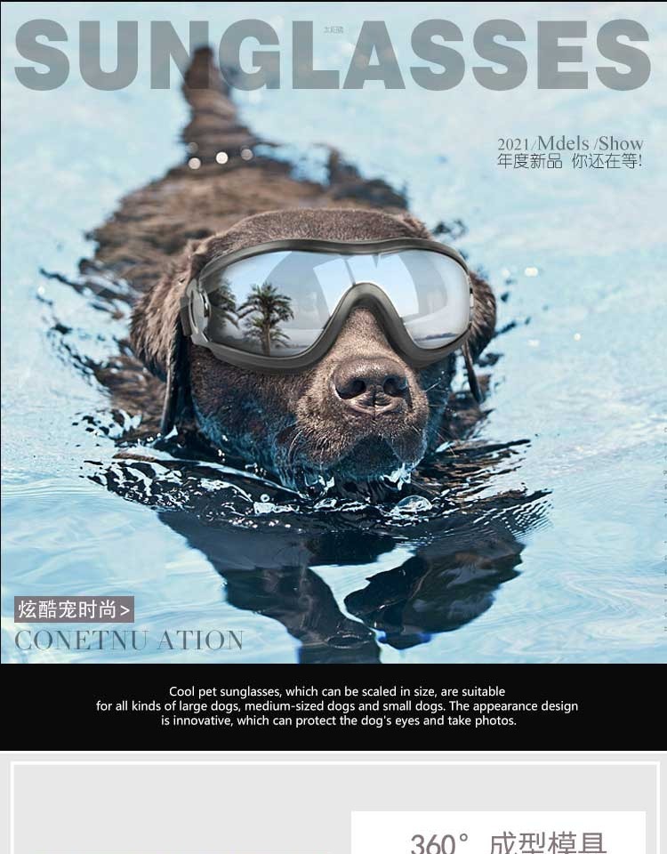 41d15437-c8d4-4421-873f-e36377c226e5.jpe