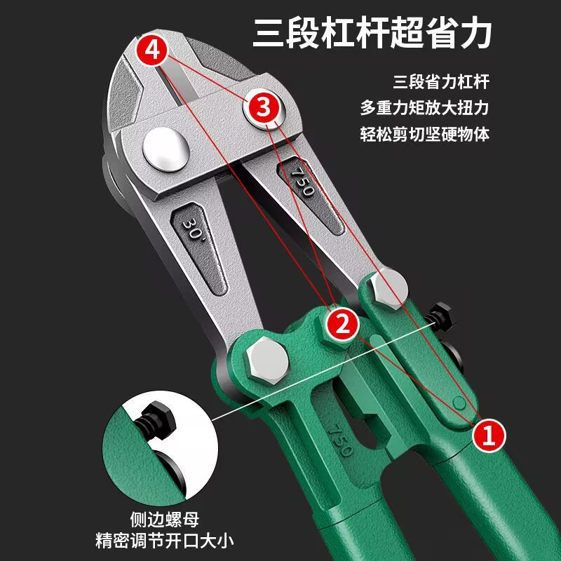 4aa84a55-07c1-4b73-a5ae-4f89166f11a2.jpe