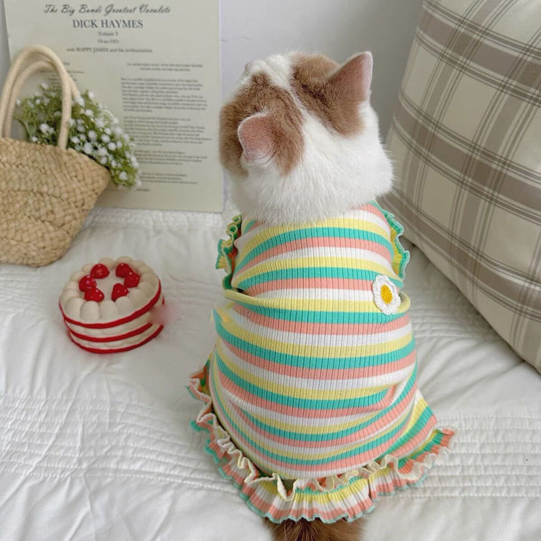 441a951b-f7e9-4142-b89d-2883717ad796.jpe