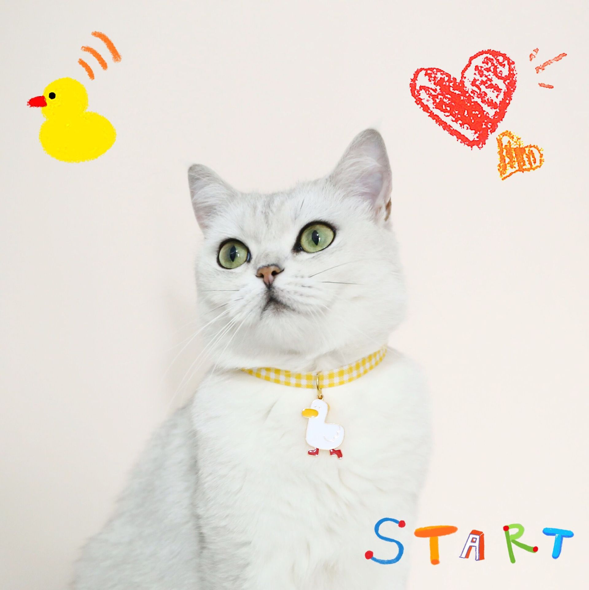 QQ图片20210709130157