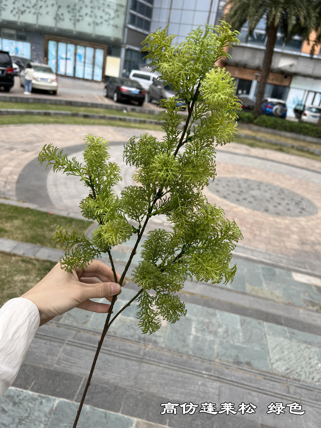 微信图片_20230323180008