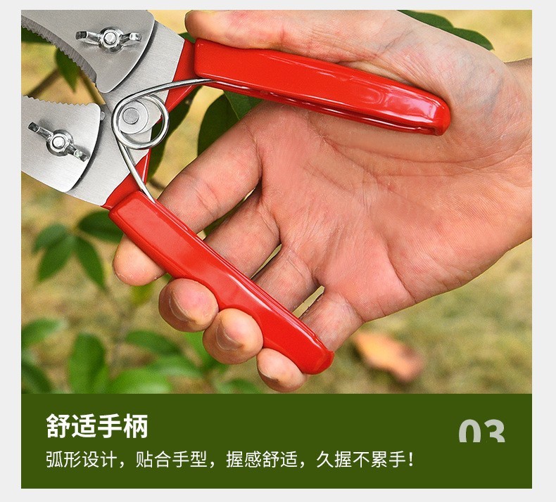 2173ec43-f6b9-4f83-a2f7-2ad86fc046fc.jpe