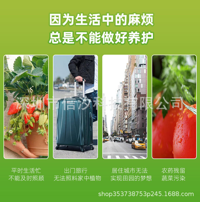 花瓣植物机详情_03