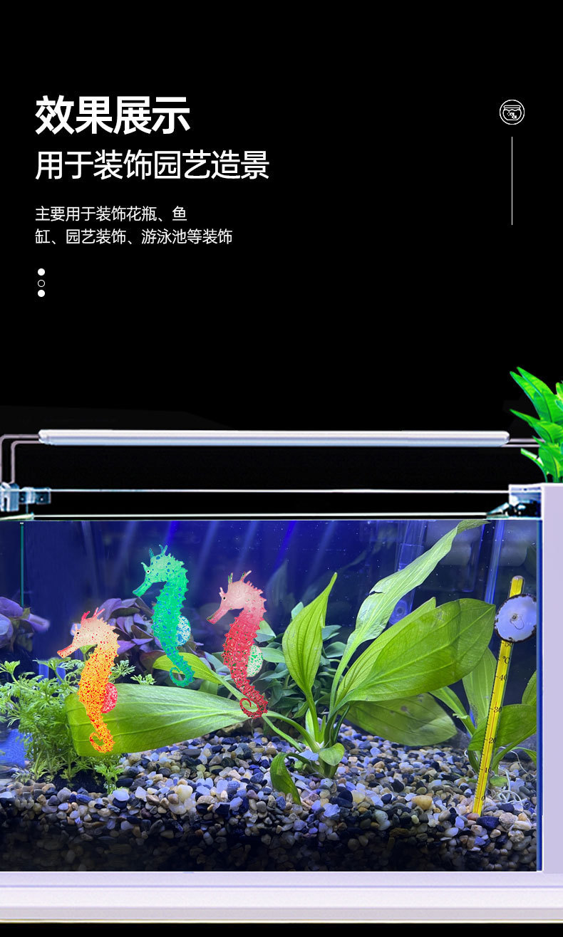 海马详情_03.jpg