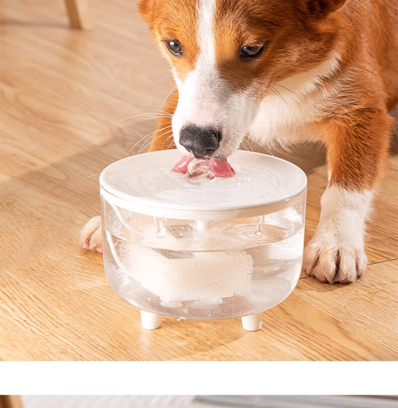 d0bad7e6-91f7-4b2a-9990-26d9ae984221.jpe