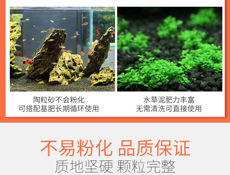 f4527bcf-b702-4c26-86aa-d50cd93e4e32.jpe