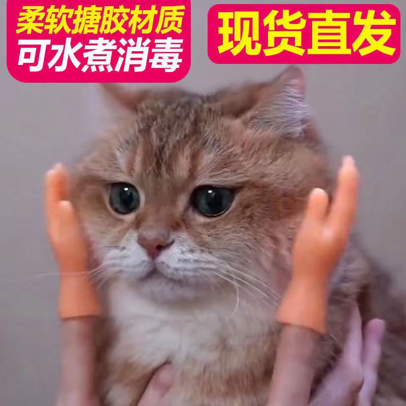 9534ea602845451bdf593d47e736f4