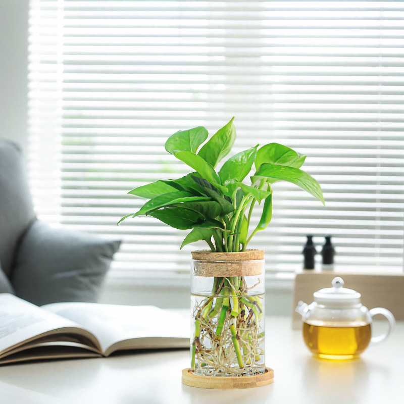 c8cf7f30-4dc2-4aa0-b58d-1e41ad723dc8.jpe