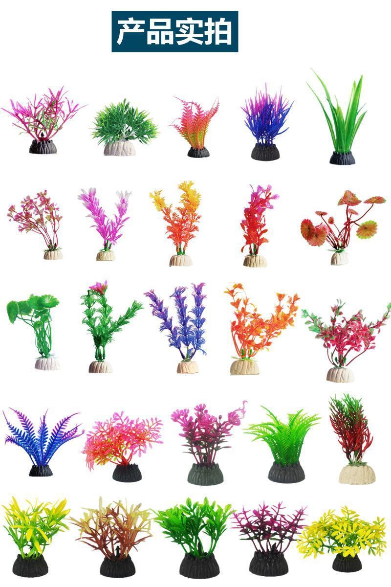 c6ce6799-1ee8-4752-9888-1efd52788550.jpe