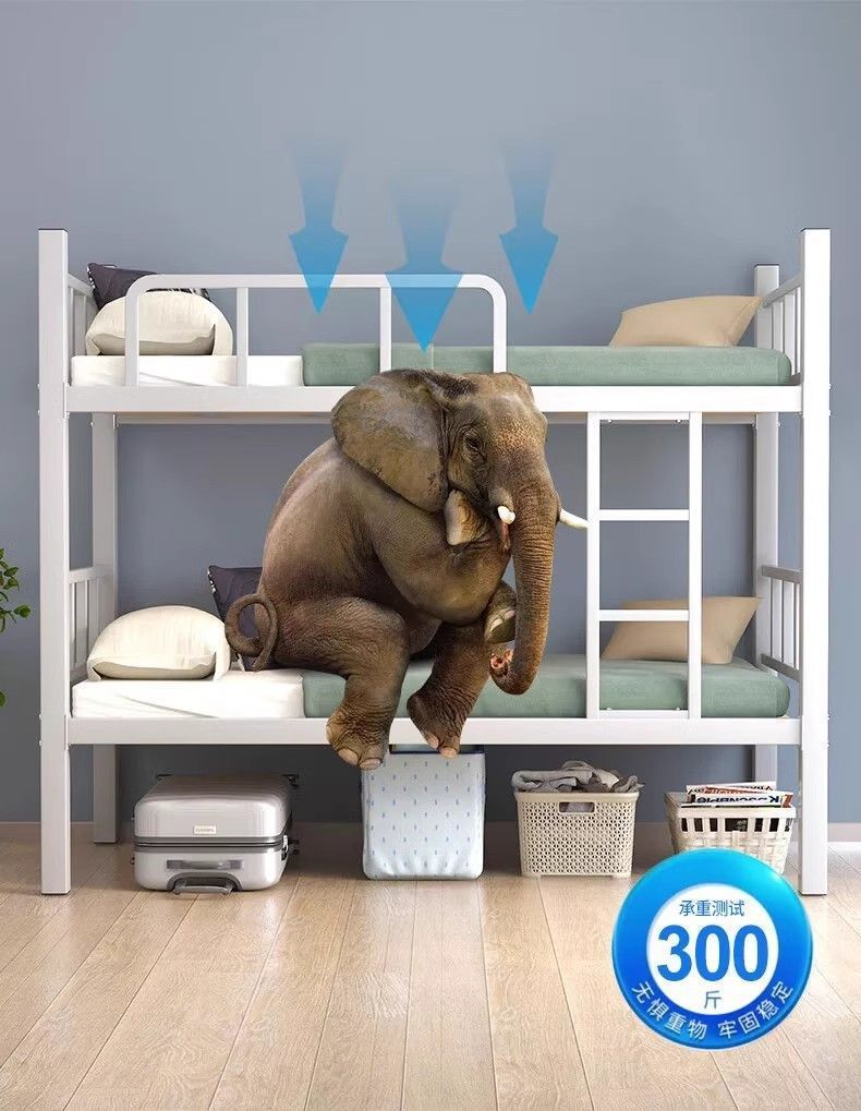 94b9bddc-69e7-43cd-874b-0f80c89cf905.jpe