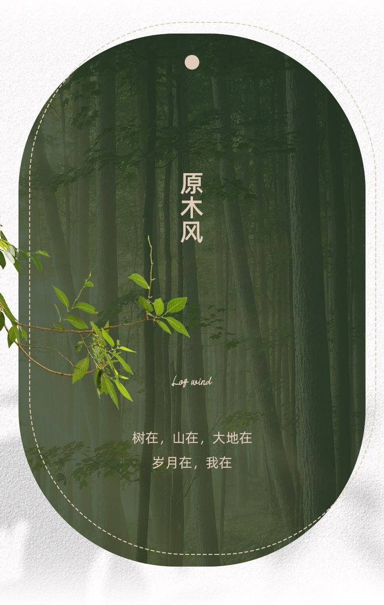 15ae3cb0-04f0-47f9-8f2e-e5e15a489565.jpe