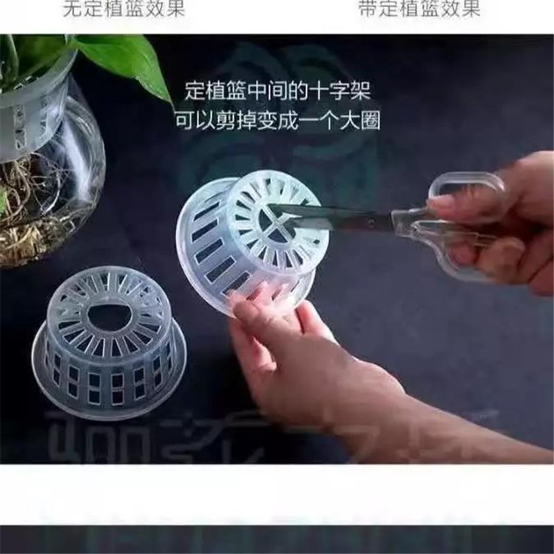 316d38e1-9aad-4b72-aa1e-6dcff5d2796e.jpe