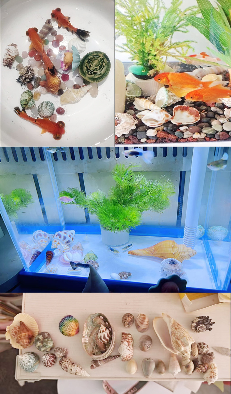 6个不重复详情2