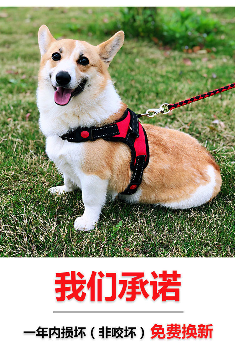 a6355109-f3a6-4db9-a1b4-f8b55002ac1e.jpe