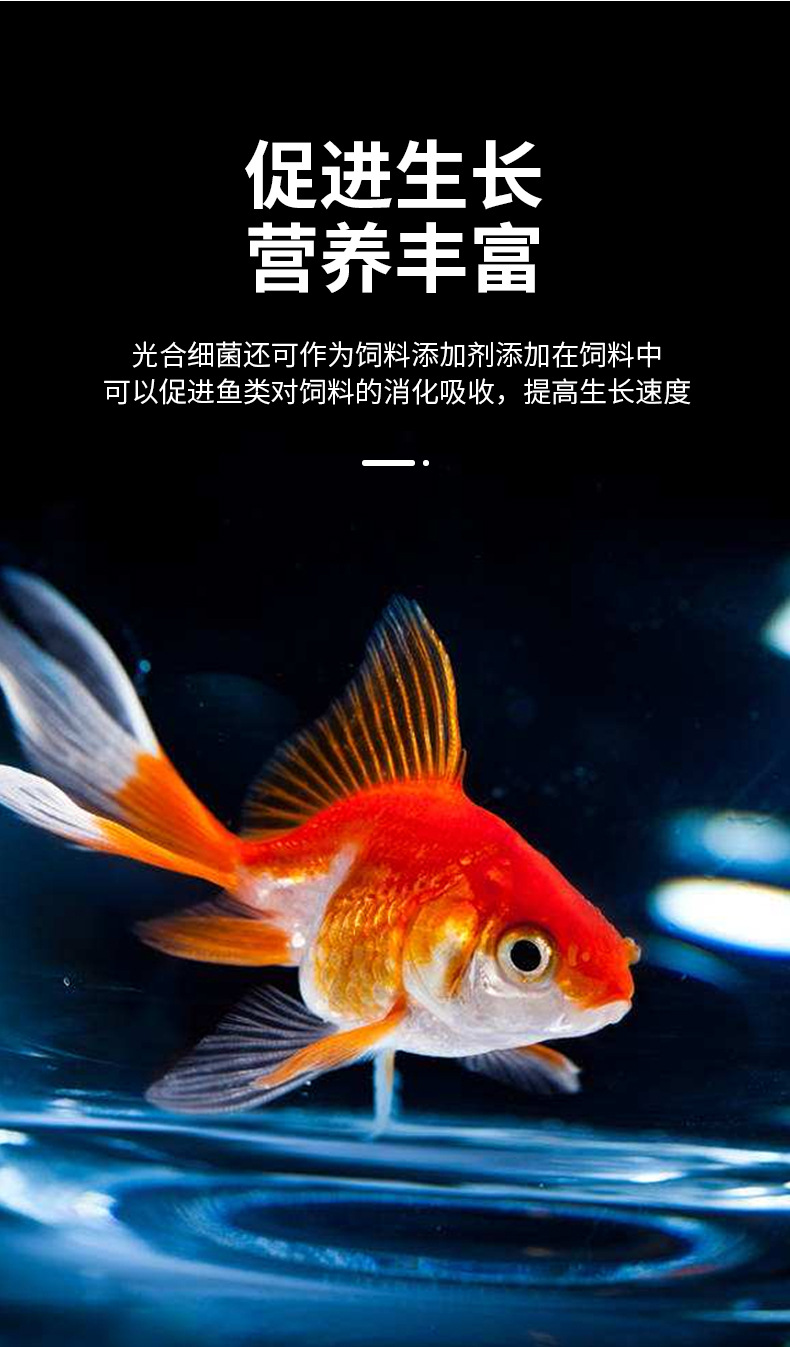 光合细菌详情页_06