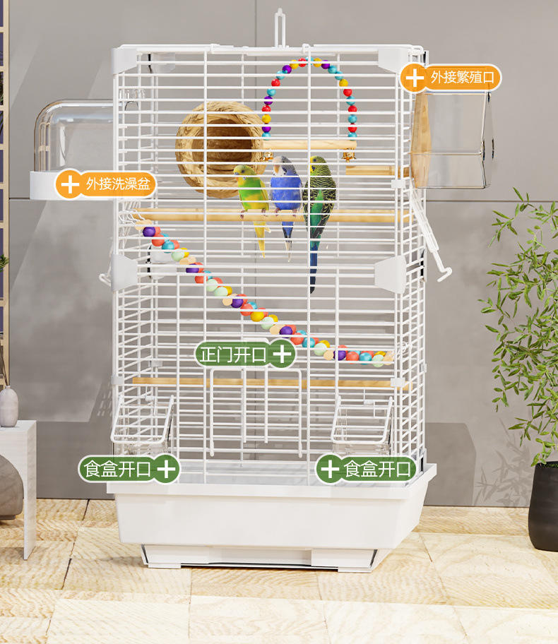 04bb076c-9fcb-4de8-bfa3-49d8e238abb9.jpe