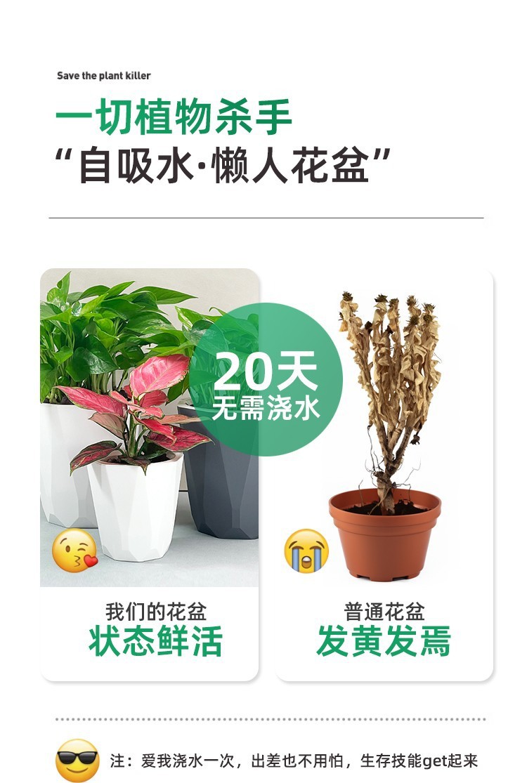 849bc092-7548-423c-bd62-55ce59bbefa3.jpe