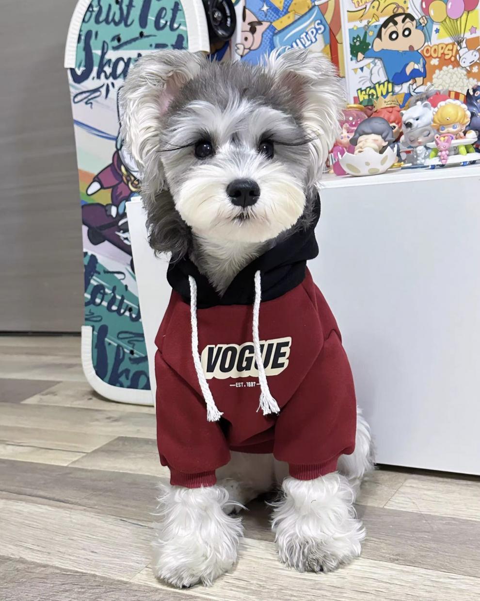 f36922f0-7f06-4dd5-96bd-a3e9bcfaf4a0.jpe