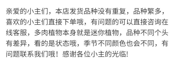 3660d6c9-756f-447c-8f8e-965b3e5544f2.jpe