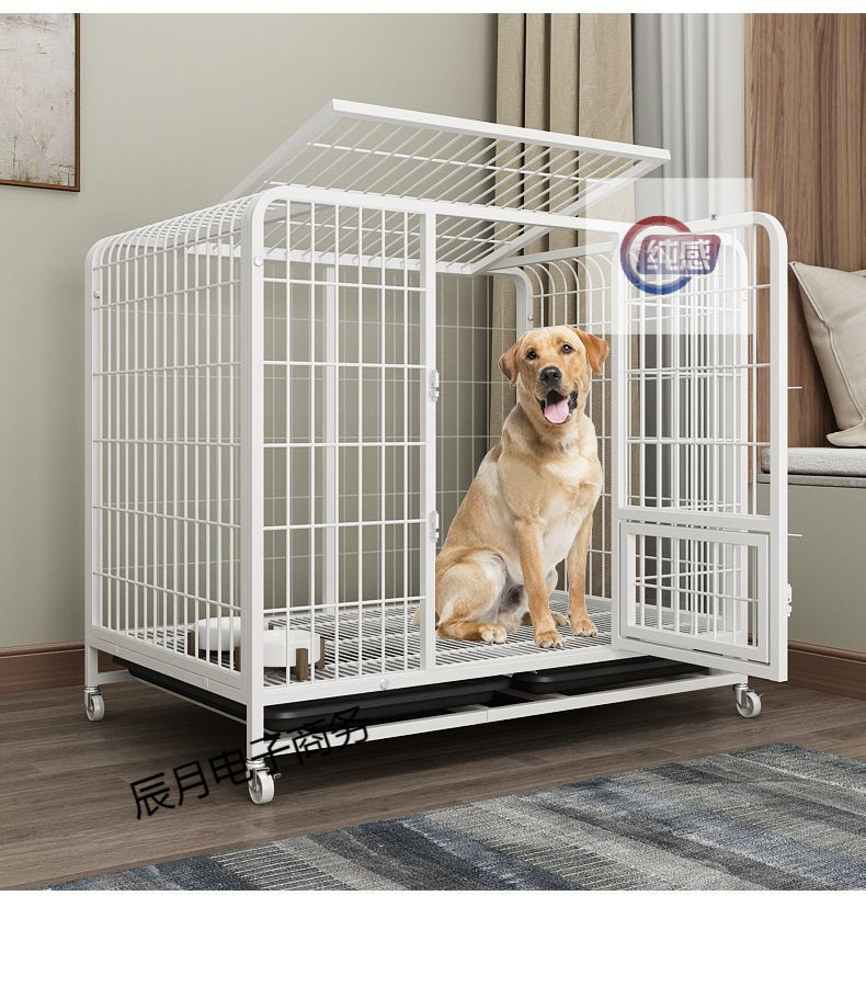 325d99a7-5dbc-4f63-9057-c42a0b4ac1ee.jpe